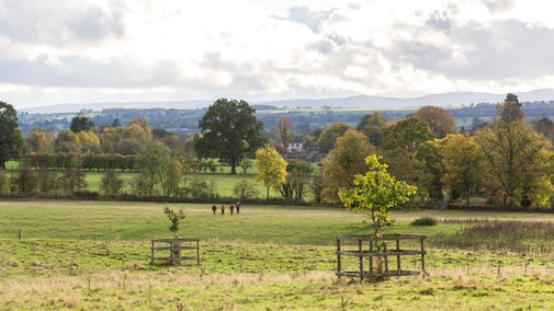 Walkers walking on the parkland at Acorn Bank in the autumn.